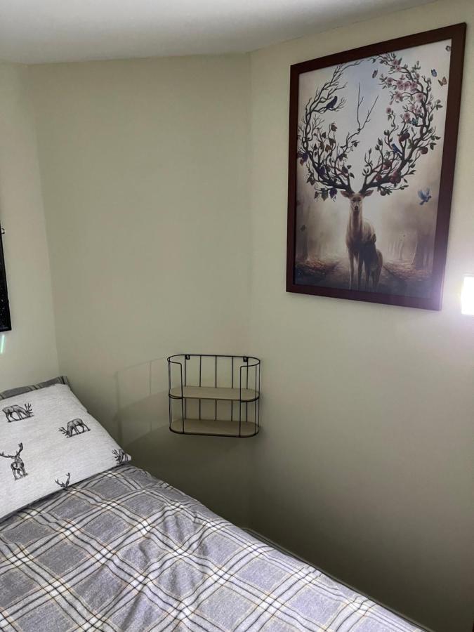 Deer Lodge Thornton Curtis 外观 照片